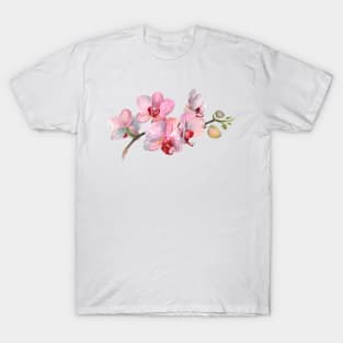 Orchid. Exclusive present. Gift for a friend. Funny art print T-Shirt